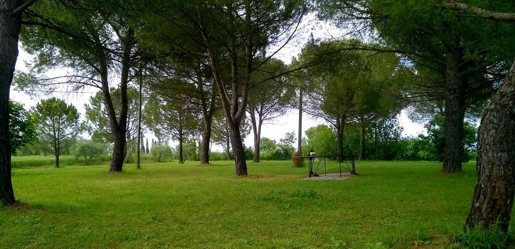 Agriturismo Podere Caggiolo - Swimming Pool & Air Conditioning Marciano della Chiana Екстериор снимка