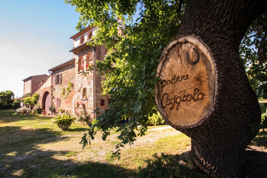 Agriturismo Podere Caggiolo - Swimming Pool & Air Conditioning Marciano della Chiana Екстериор снимка